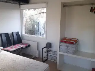 Kolonihave i Skagen sælges