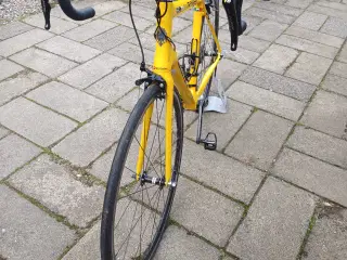 Rynke cykel årgang 2019