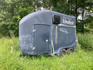 Hestetrailer i glasfiber med indmad 