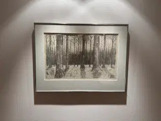 Niels Ryberg: Træer (1984)