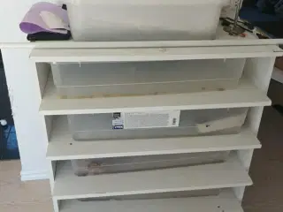 slange rack sælges