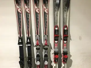 snyde edderkop stå på række ski 150 | GulogGratis - nyt, brugt og leje på GulogGratis