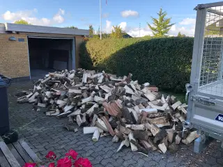 Brænde af løvtræ eller nåletræ