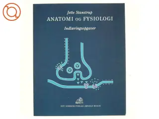 Anatomi og fysiologi : indlæringsopgaver af Jette Stanstrup (Bog)
