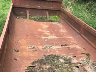 Container 