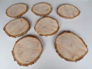 Nye thuja træskiver 24 - 26 cm