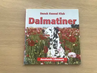 Dalmatiner  - Racehunde i Danmark