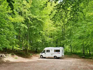 🌟 Danmarks Smukkeste Autocamper søger ny ejer ❤💥