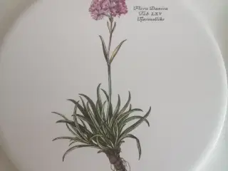 Flora Danica Ophæng - Bordskåner 