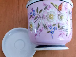 Fransk urtepotteskjuler