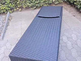 Solvogn