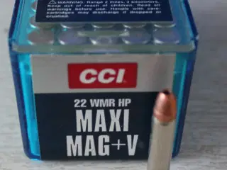 Cci 22 Magnum