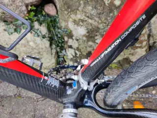 Giant carbon hardtail 