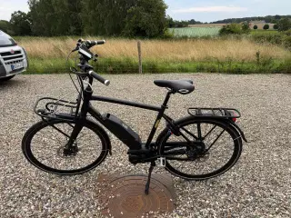 Batavus harlem