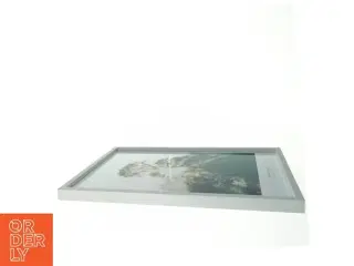 Plakat i billedramme (str. 42 x 32 cm)