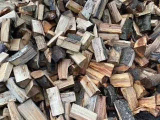 Bøgebrænde sælges