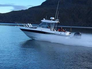 Campion EX24 BRA SC