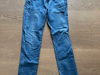 Levis 502