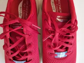Sketchers 