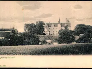 Harritslevgaard - Peter Alstrup 2902 - Ubrugt