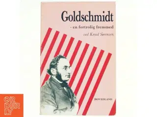 Goldschmidt - en fortrolig fremmed af Knud Sørensen (bog)