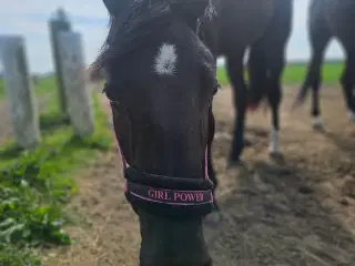 Sort smuk hoppeplag 