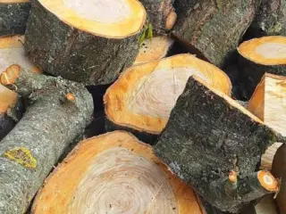 Brænde 