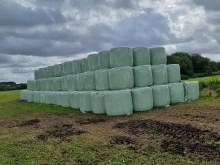 Eng wrap