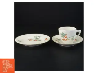 Porcelæns te sæt med nødde-motiv fra Bing Og Grøndal (str. Diameter 15 og en halv cm kop 6 x 7 cm)