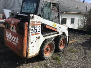 Bobcat