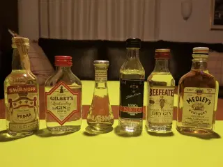 Forskellige miniature / mini spiritusflasker