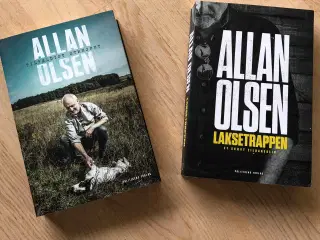 Allan Olsen: Tilfældigt Strejfet/Laksetrapp 