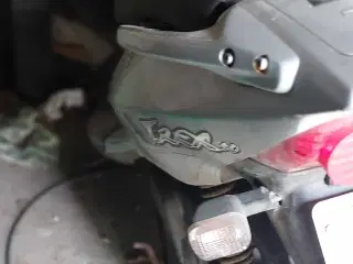 Pgo T-Rex 50 