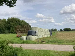 Wrap 1. slæt 2025