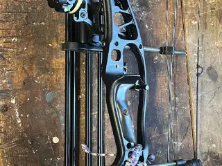 Hoyt Alphamax 35
