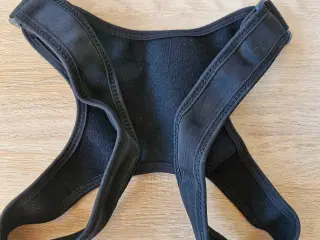 Ryg korrektur 
