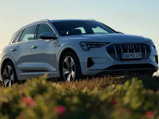 Audi e-tron 55 Prestige quattro