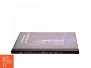 1001 Arabian nights at the Buri Al Arab