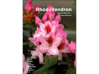 Rhododendron - og det der følger efter...