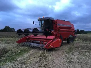 Mejetærsker købes 