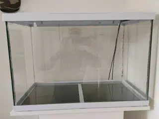 Akvarie 60L inkl lys og bord