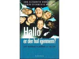 Hallo - er der hul igennem?