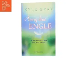 Spørg dine engle - og få guddommelig hjælp til at skabe mirakler af Kyle Gray (Bog)