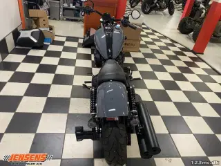 Indian Chief Dark Horse