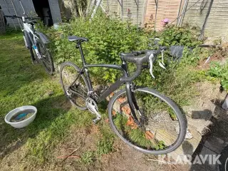 Racercykel Specialized Secteur