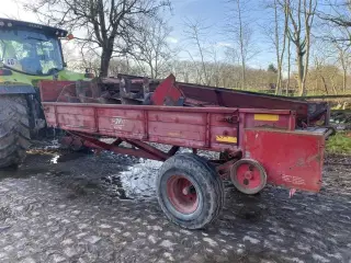 JF AV 40 M. superspreder