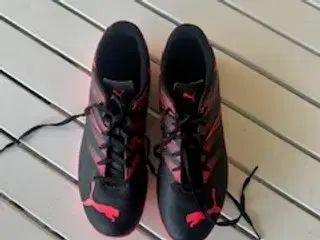 Lækre indendørs Puma-fodboldsko st 43