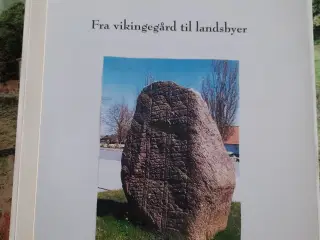 Fra vikingegård til landsbyer