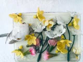 Fugl + blomster til dekoration 