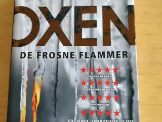 De frosne flammer, Jens Henrik Jensen